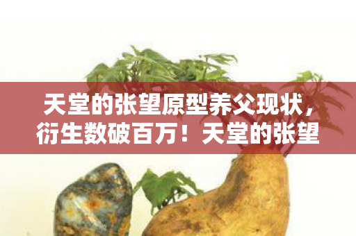 天堂的张望原型竟让二次元破圈到意想不到的厨房图片