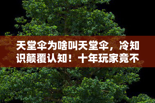 十年玩家竟不知天堂伞真相图片
