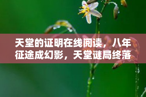 天堂的证明在线阅读图片