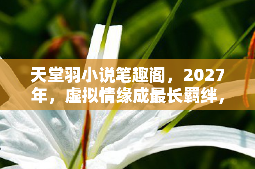 虚拟情缘成最长羁绊图片