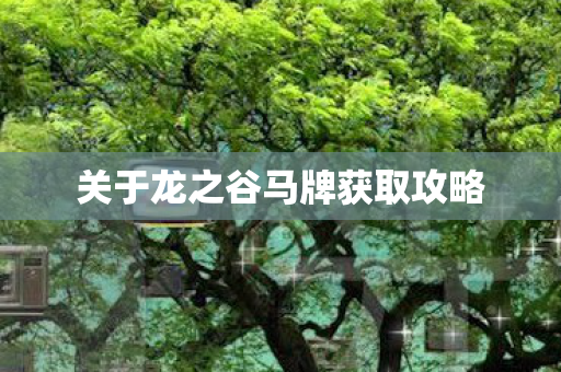 关于龙之谷马牌获取攻略