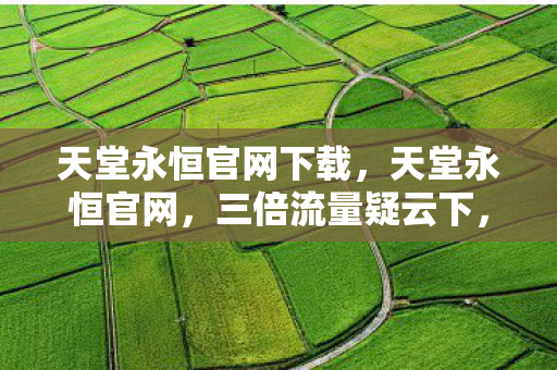 谁在编织让玩家心寒的资本迷网图片
