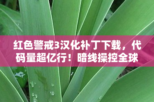 红色警戒3汉化补丁下载图片