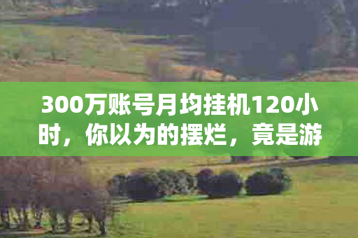 300万账号月均挂机120小时图片