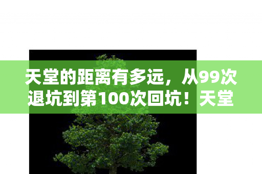 从99次退坑到第100次回坑图片
