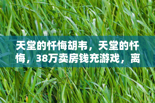 离婚协议背后藏着惊人隐情图片