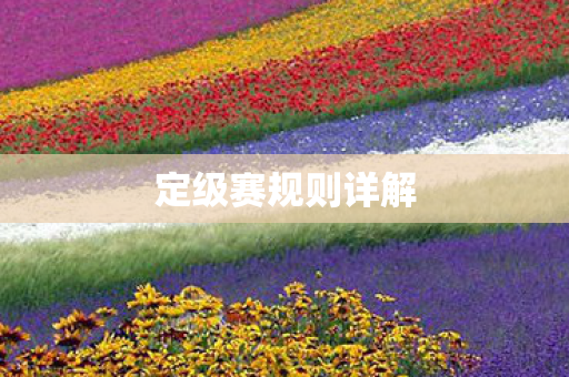 定级赛规则详解