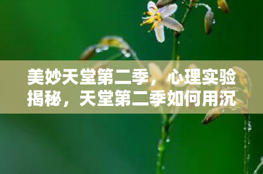 天堂第二季如何用沉迷陷阱操控大脑图片