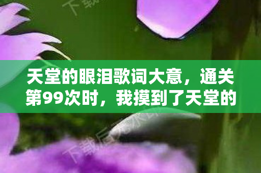 天堂的眼泪歌词大意图片