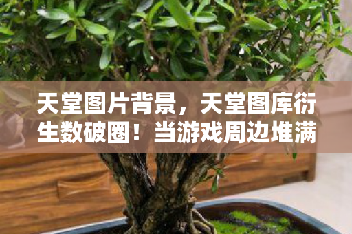 意想不到的败家之旅启程图片