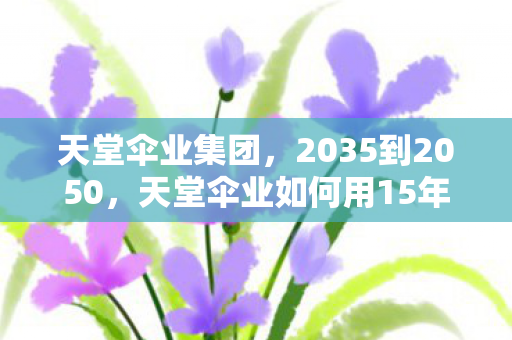 天堂伞业如何用15年颠覆雨具江湖图片