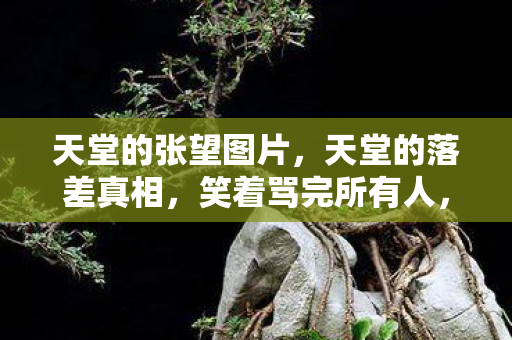 最后笑着笑着竟哭了图片