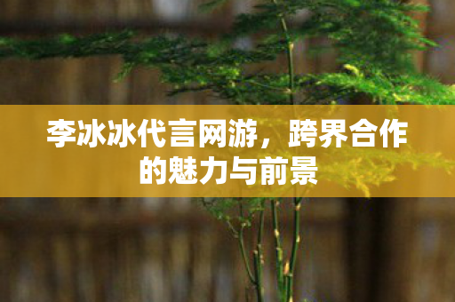 李冰冰代言网游,跨界合作的魅力与前景 李冰冰代言网游,跨界合作的魅力与前景