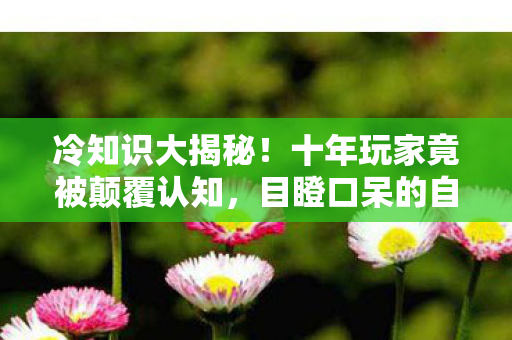 目瞪口呆的自我处刑现场图片