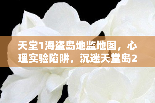 天堂1海盗岛地监地图图片
