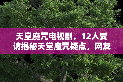 12人受访揭秘天堂魔咒疑点图片