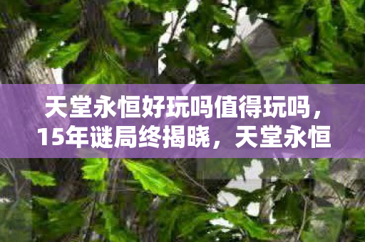 天堂永恒好玩吗值得玩吗图片