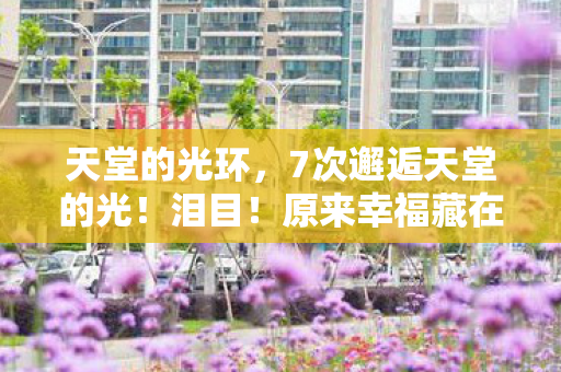 原来幸福藏在这些瞬间里图片