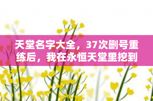 我在永恒天堂里挖到了2027年最痛的真相图片