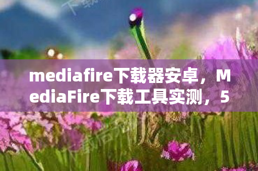 MediaFire下载工具实测图片