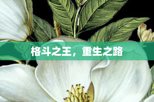 格斗之王,重生之路 格斗之王,重生之路