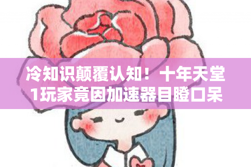 十年天堂1玩家竟因加速器目瞪口呆自扇耳光图片