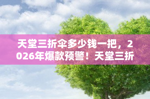 天堂三折伞多少钱一把图片