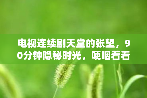 哽咽着看完了天堂的张望完整版图片