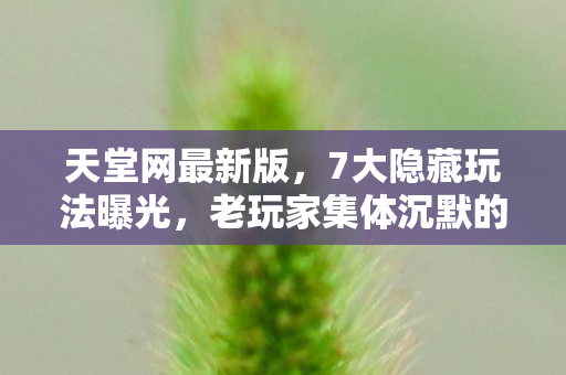 老玩家集体沉默的真相竟是图片