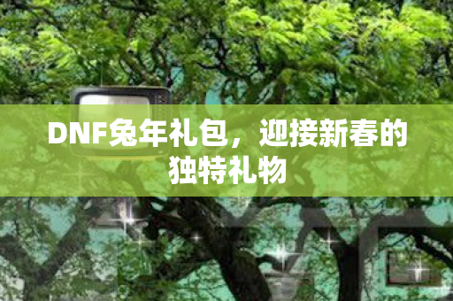 DNF兔年礼包,迎接新春的独特礼物 DNF兔年礼包,迎接新春的独特礼物