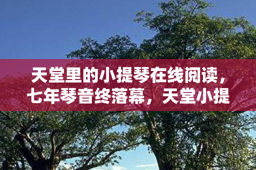 天堂里的小提琴在线阅读图片