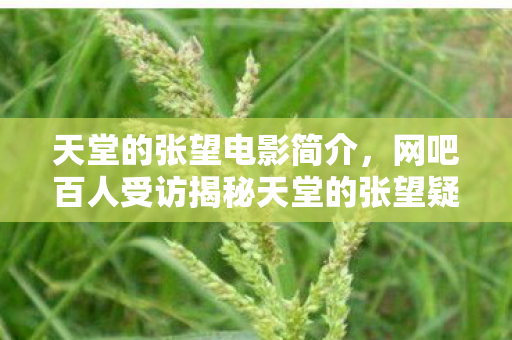 网吧百人受访揭秘天堂的张望疑点图片