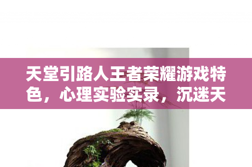 沉迷天堂引路人的细思极恐自我麻醉剂量图片