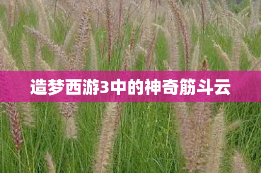 造梦西游3中的神奇筋斗云 造梦西游3中的神奇筋斗云