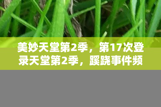 第17次登录天堂第2季图片