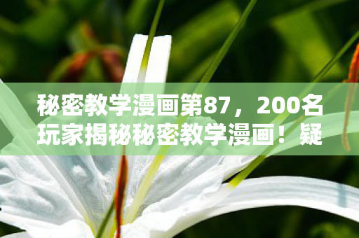 200名玩家揭秘秘密教学漫画图片