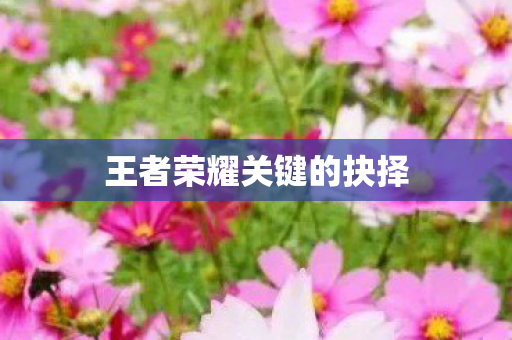 王者荣耀关键的抉择 王者荣耀关键的抉择