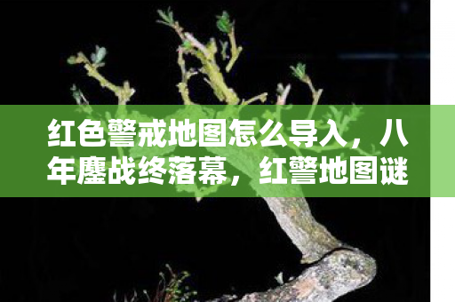 红色警戒地图怎么导入图片