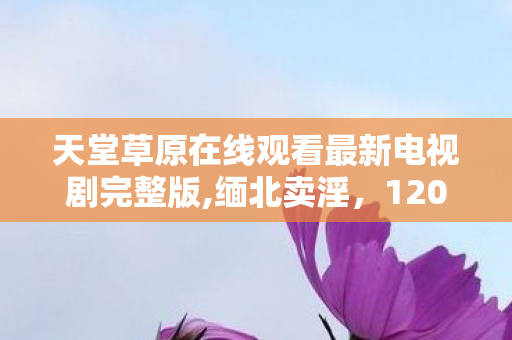 天堂草原在线观看最新电视剧完整版图片