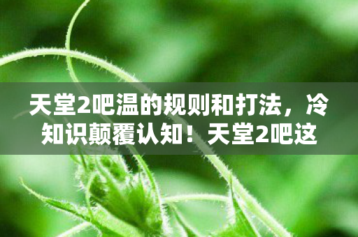 让你目瞪口呆到2027年图片