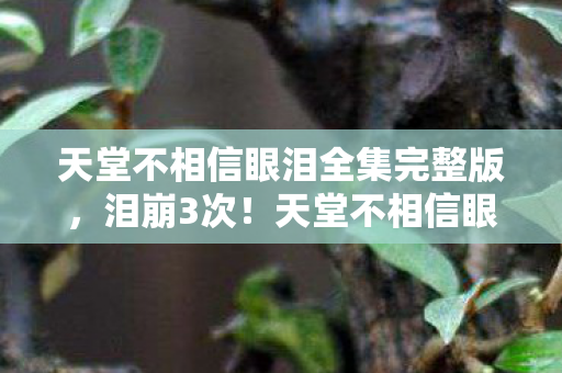 天堂不相信眼泪全集完整版图片