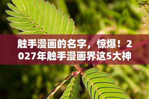 2027年触手漫画界这5大神作图片