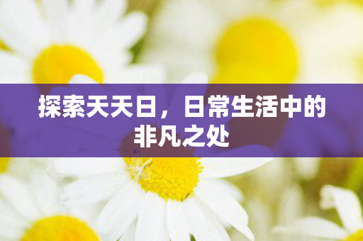 探索天天日,日常生活中的非凡之处 探索天天日,日常生活中的非凡之处