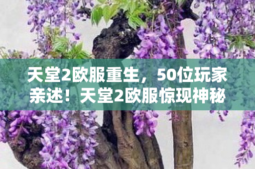 天堂2欧服重生,50位玩家亲述!天堂2欧服惊现神秘疑点,这操作谁绷得住啊? 天堂2欧服重生,50位玩家亲述!天堂2欧服惊现神秘疑点,这操作谁绷得住啊?