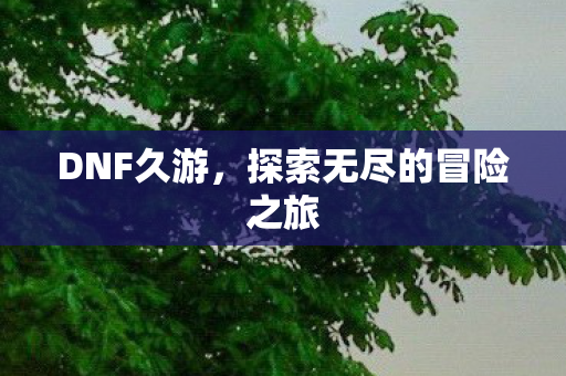 DNF久游,探索无尽的冒险之旅 DNF久游,探索无尽的冒险之旅