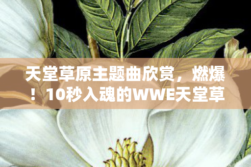 10秒入魂的WWE天堂草原神曲图片