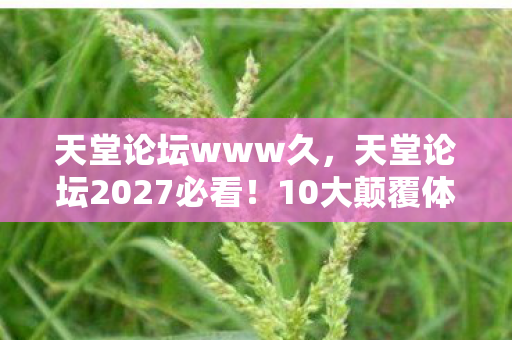 天堂论坛2027必看图片