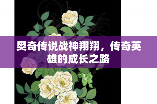 奥奇传说战神翔翔,传奇英雄的成长之路 奥奇传说战神翔翔,传奇英雄的成长之路