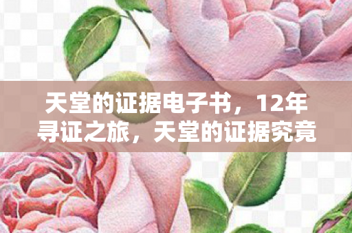 天堂的证据究竟藏于何处图片