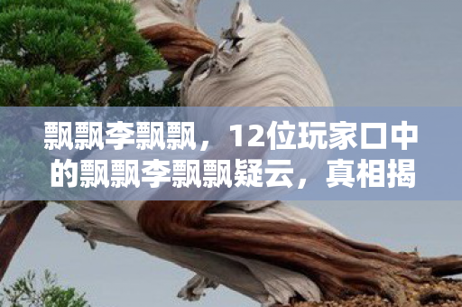 12位玩家口中的飘飘李飘飘疑云图片